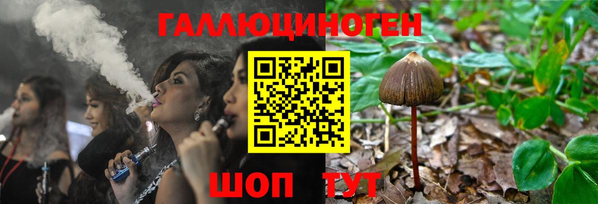 Псилоцибиновые грибы Psilocybe  закладка  Набережные Челны  Вход с VPN 
